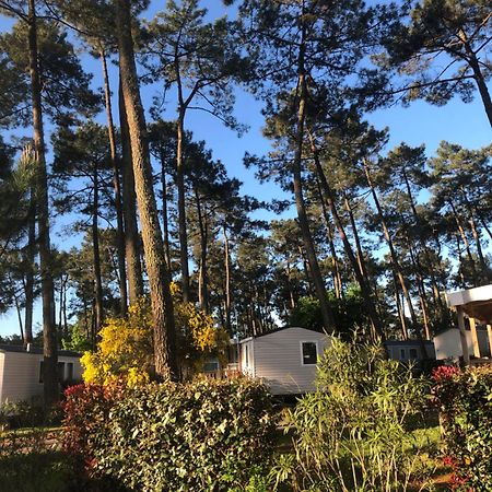 Mobile Home - Les Dunes De Contis Saint-Julien-en-Born Exterior foto