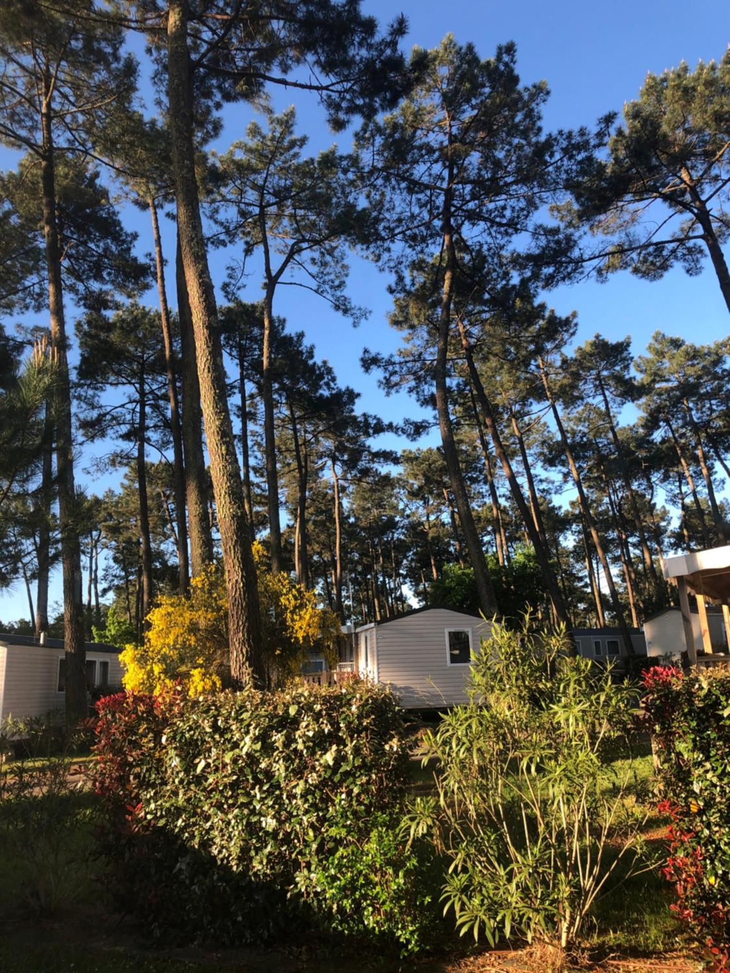 Mobile Home - Les Dunes De Contis Saint-Julien-en-Born Exterior foto